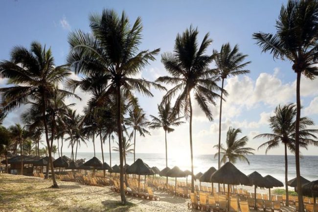 Coqueirais com gazebos de palha na praia