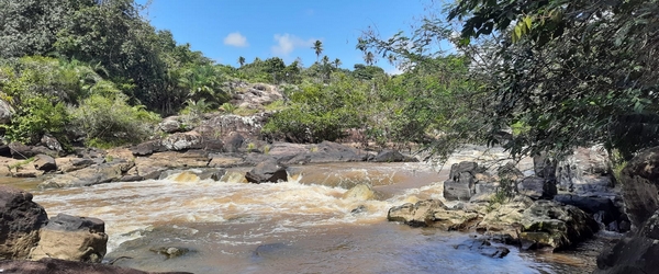 Um trecho da Reserva de Sapiranga, na Praia do Forte.