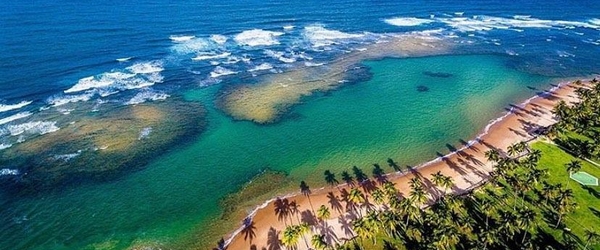 Os resorts na Bahia geralmente são construídos em regiões com praias de águas cristalinas.