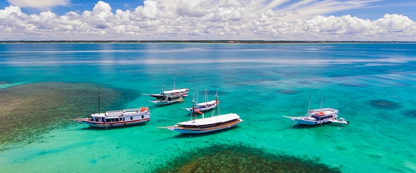 Passeios em embarcações podem ser realizadas a partir de resorts na Bahia.