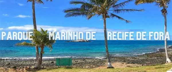 O Parque Marinho de Recife de Fora e Suas Belezas Naturais